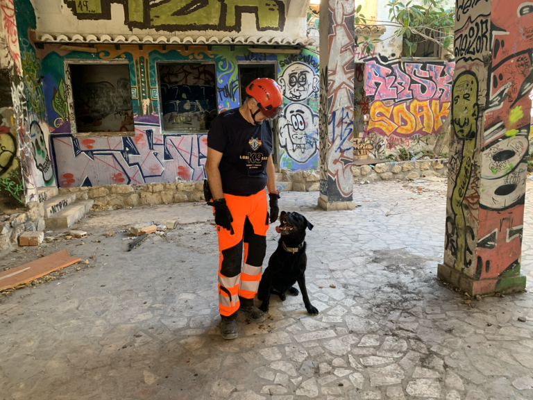 ¿Que es un perro de rescate?